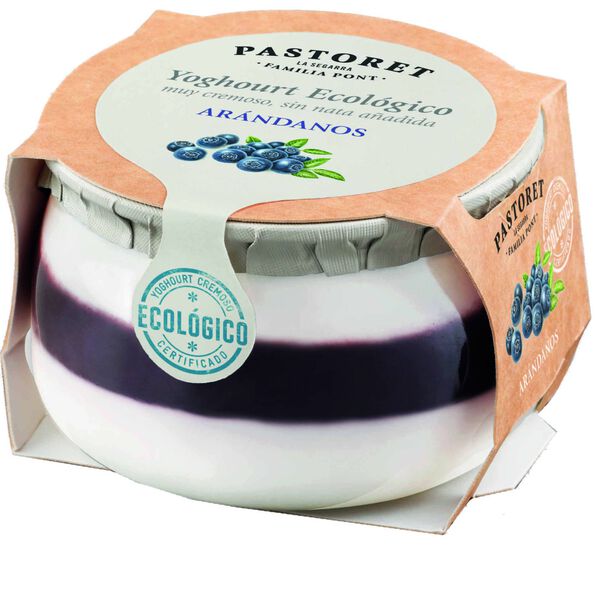 Iogurte Cremoso Mirtilo Pastoret