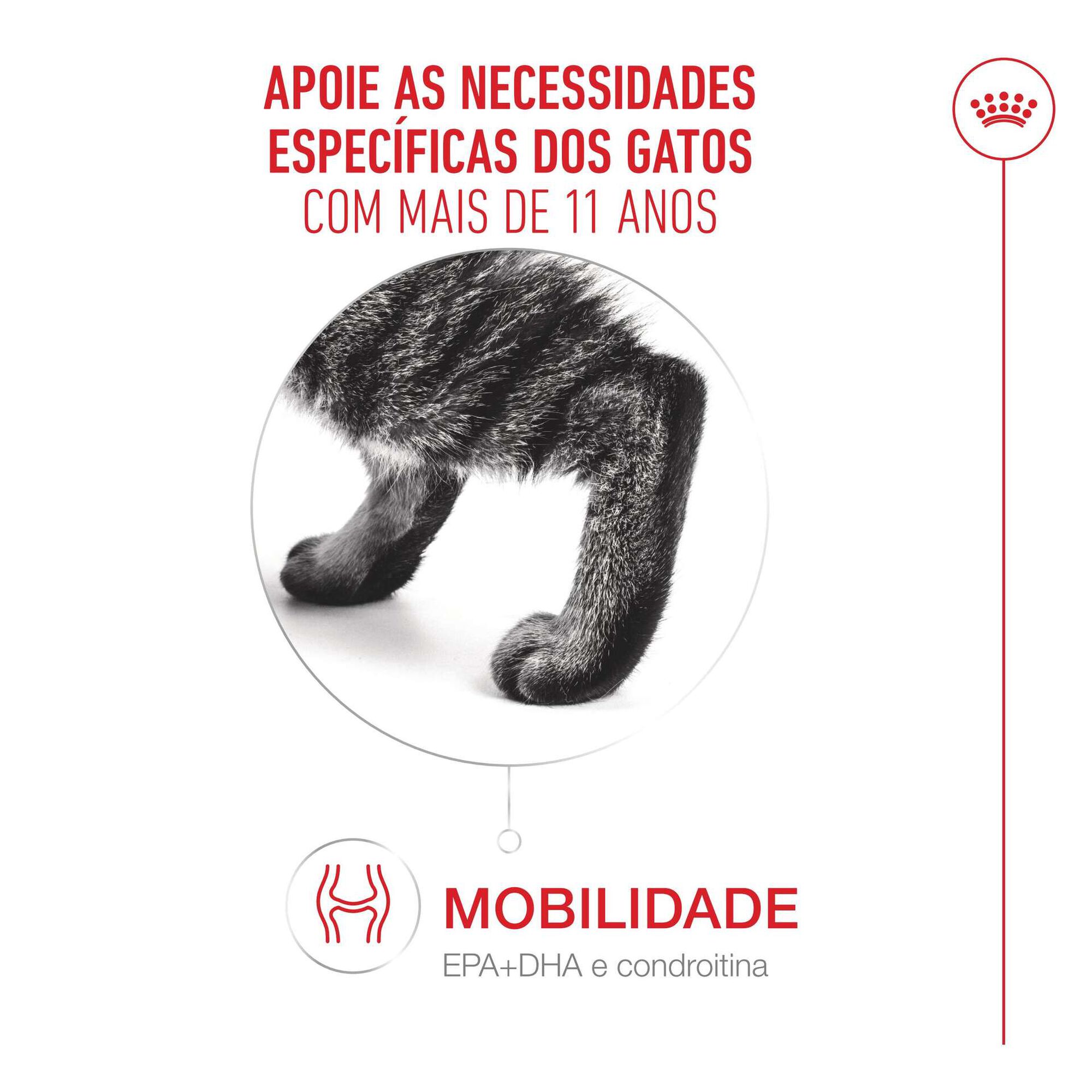 Ra&ccedil;&atilde;o para Gato S&eacute;nior Ageing+11 Royal Canin