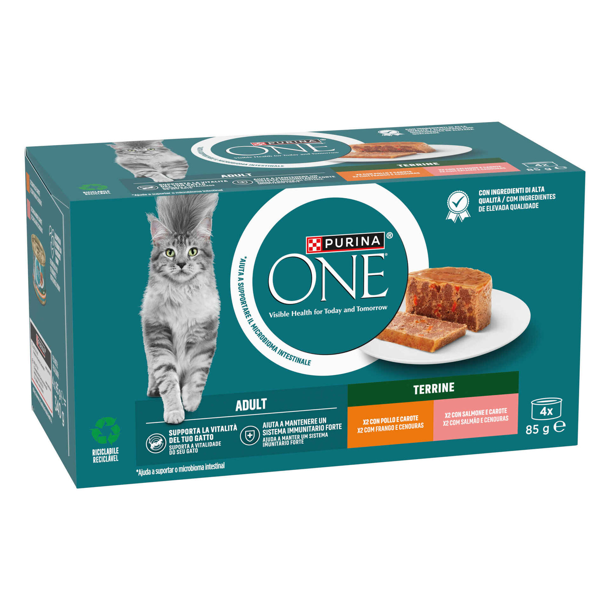 Comida Húmida para Gato Adulto Terrine Frango e Cenouras
