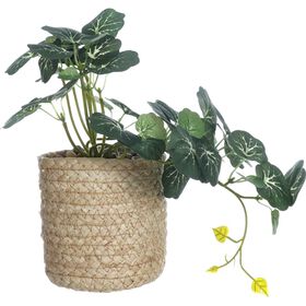 Planta Artificial a Cair em Vaso Palha