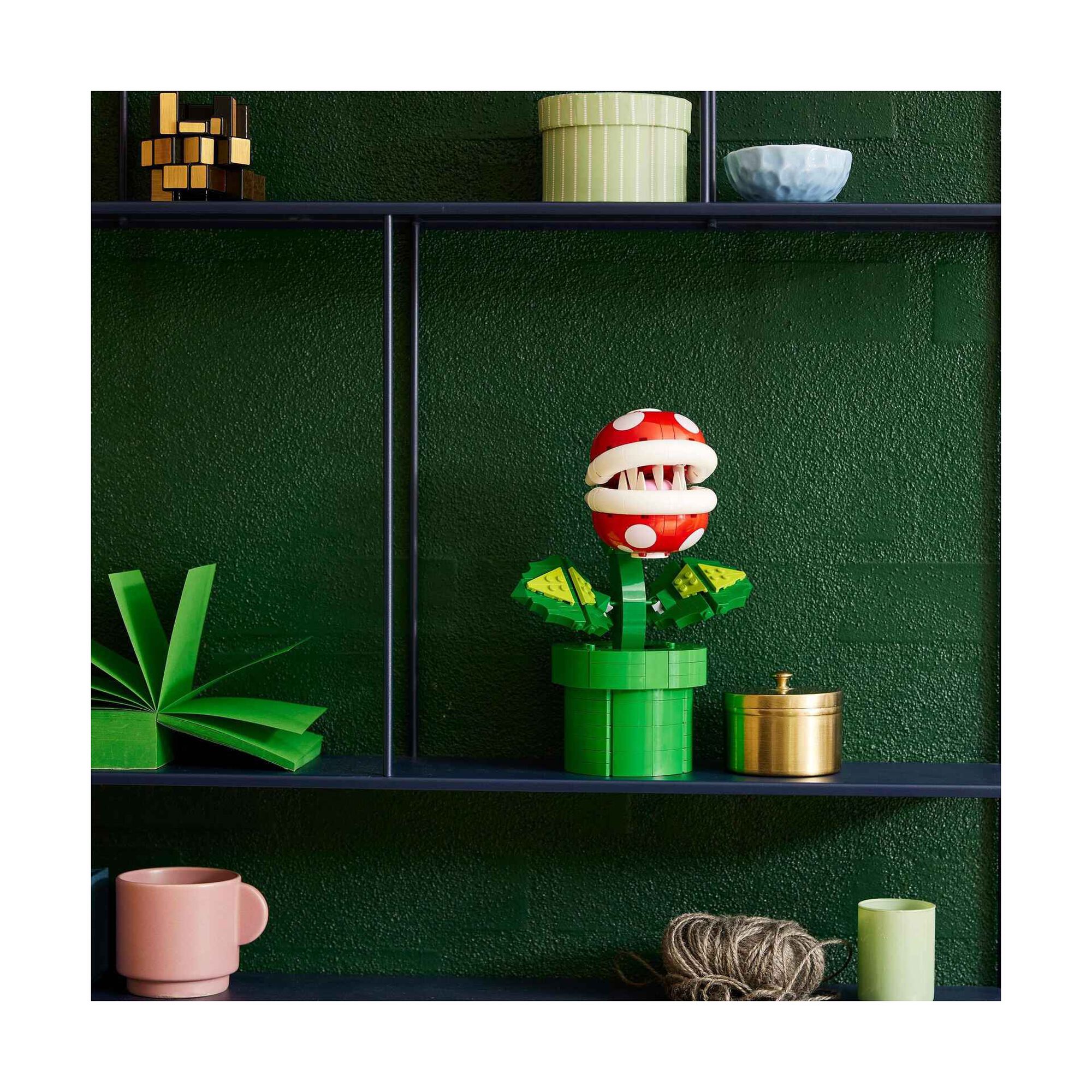 Planta Piranha - 71426 Planta Piranha - 71426