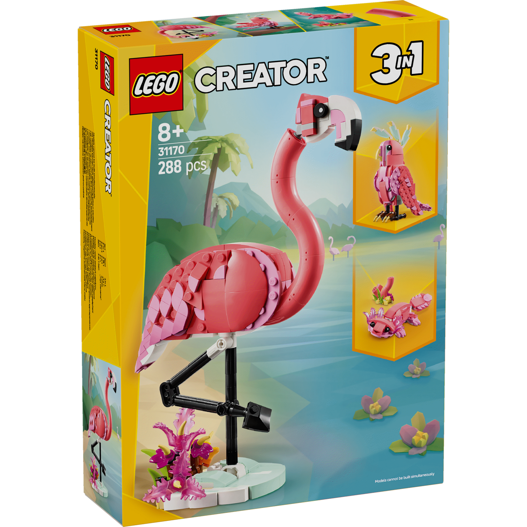 Animais Selvagens: Flamingo Cor-de-rosa - 31170