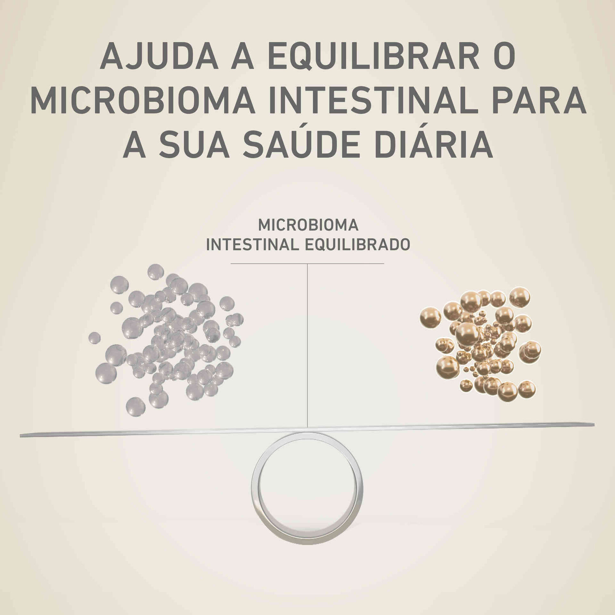 Ração para Cão Adulto Médio e Máxi Vaca