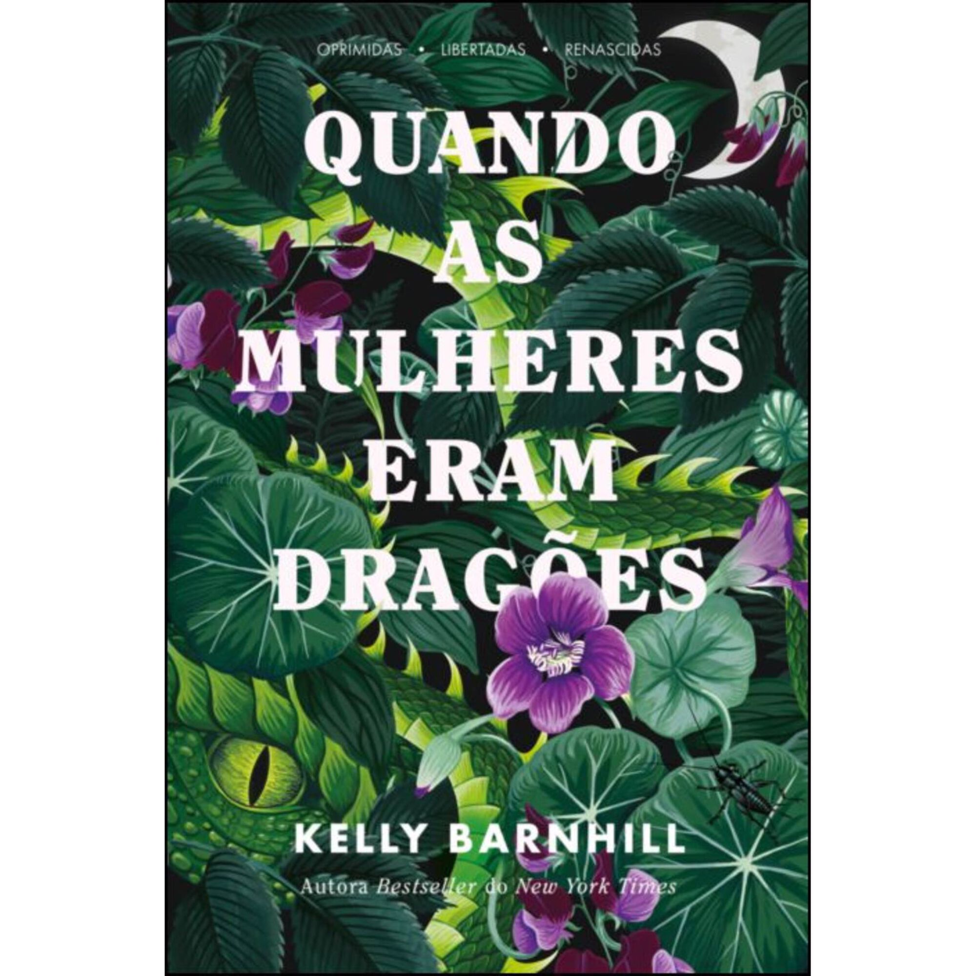 Quando as Mulheres Eram Drag&otilde;es de Kelly Barnhill