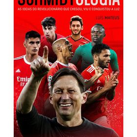 Schmidtologia de Lu&iacute;s Mateus