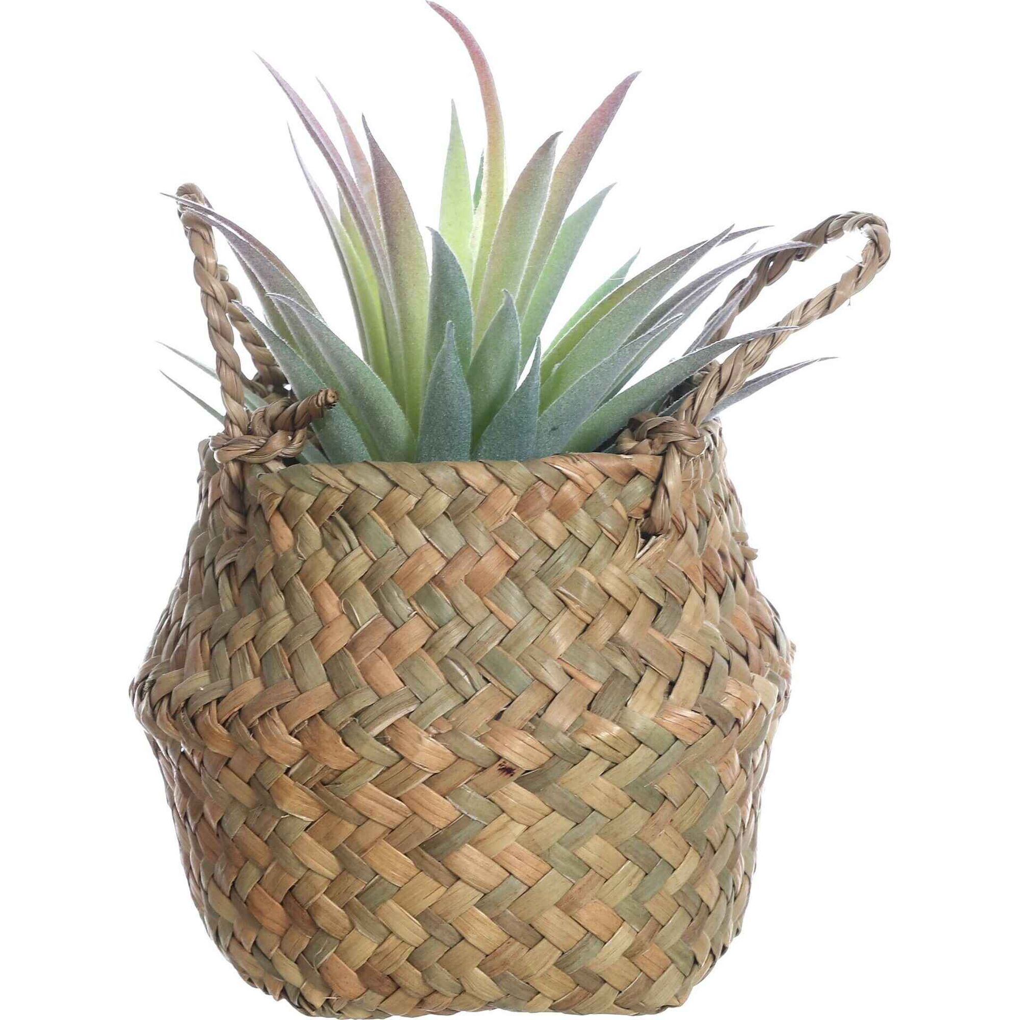 Planta Artificial Suculenta Aloe com Cesto com Asas