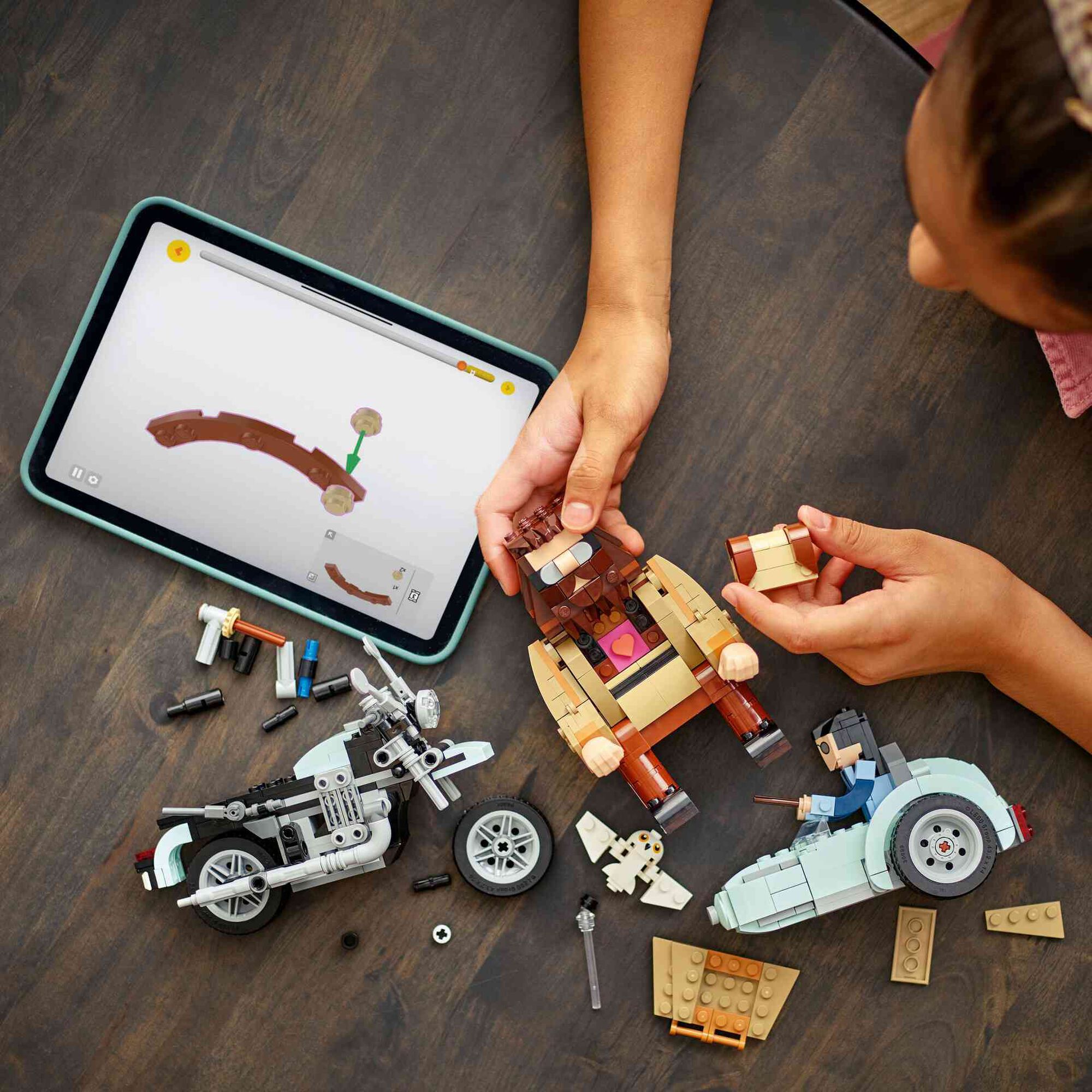 Passeio de Mota de Hagrid e Harry - 76443