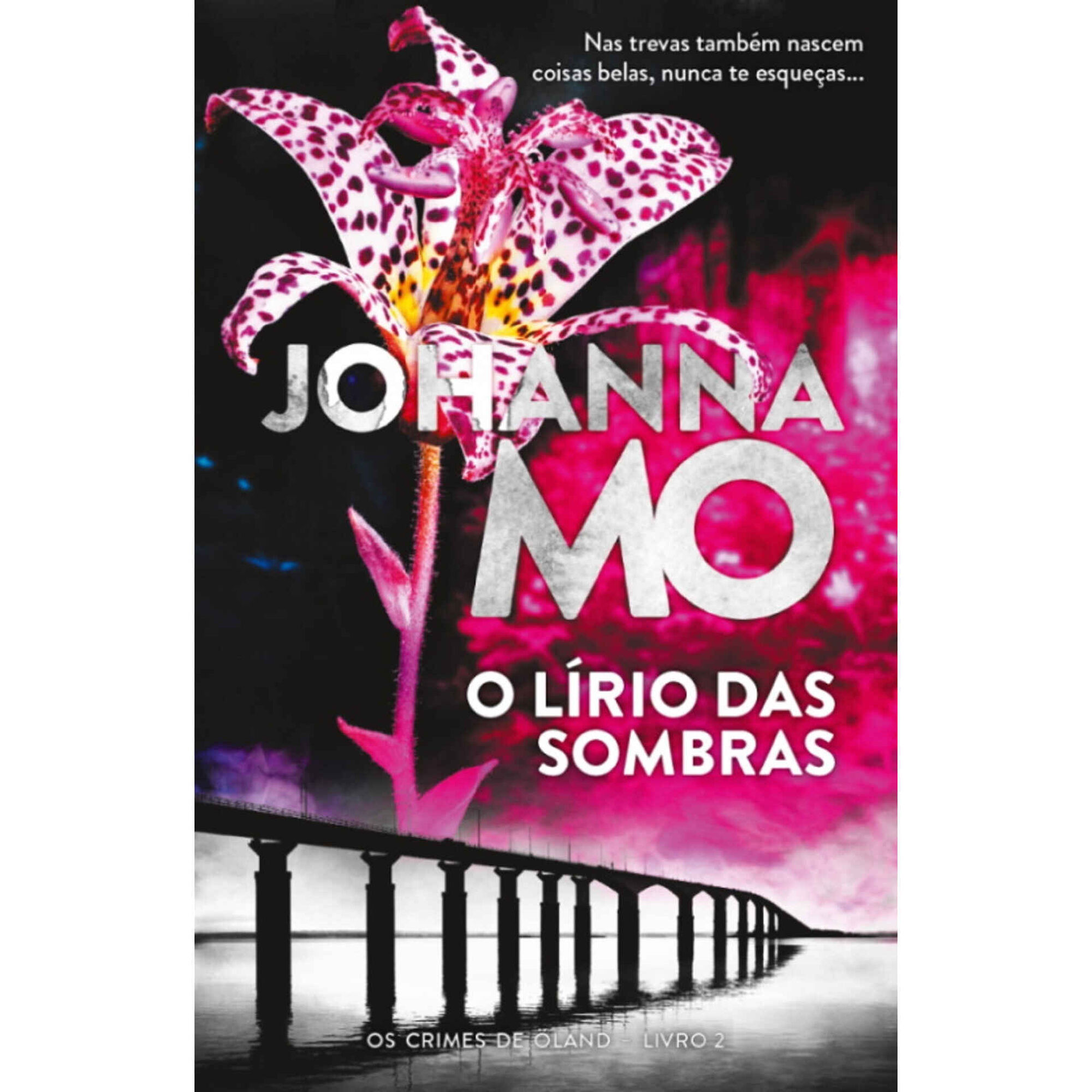 O L&iacute;rio das Sombras de Johanna Mo