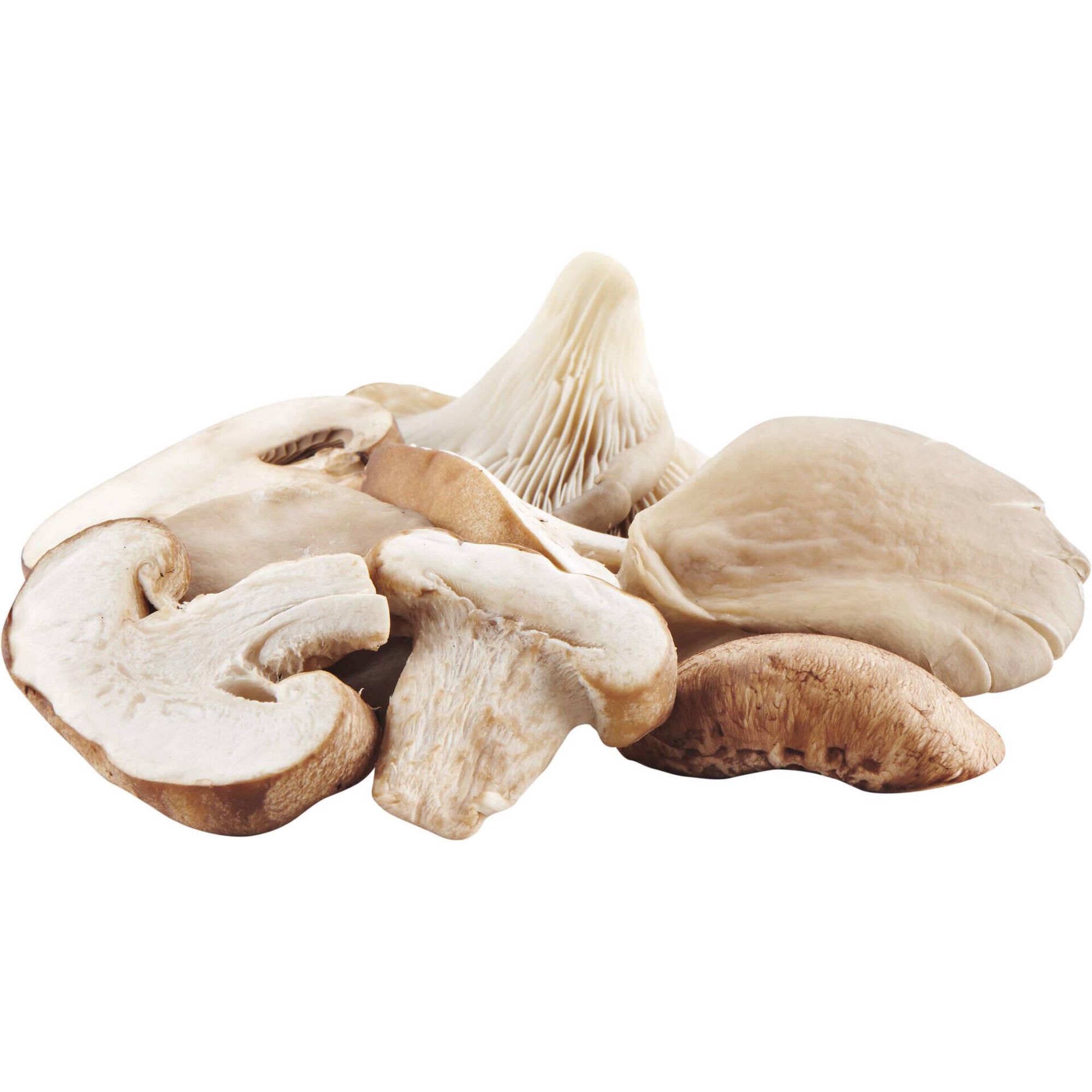 Mistura de Cogumelos Cl&aacute;ssica