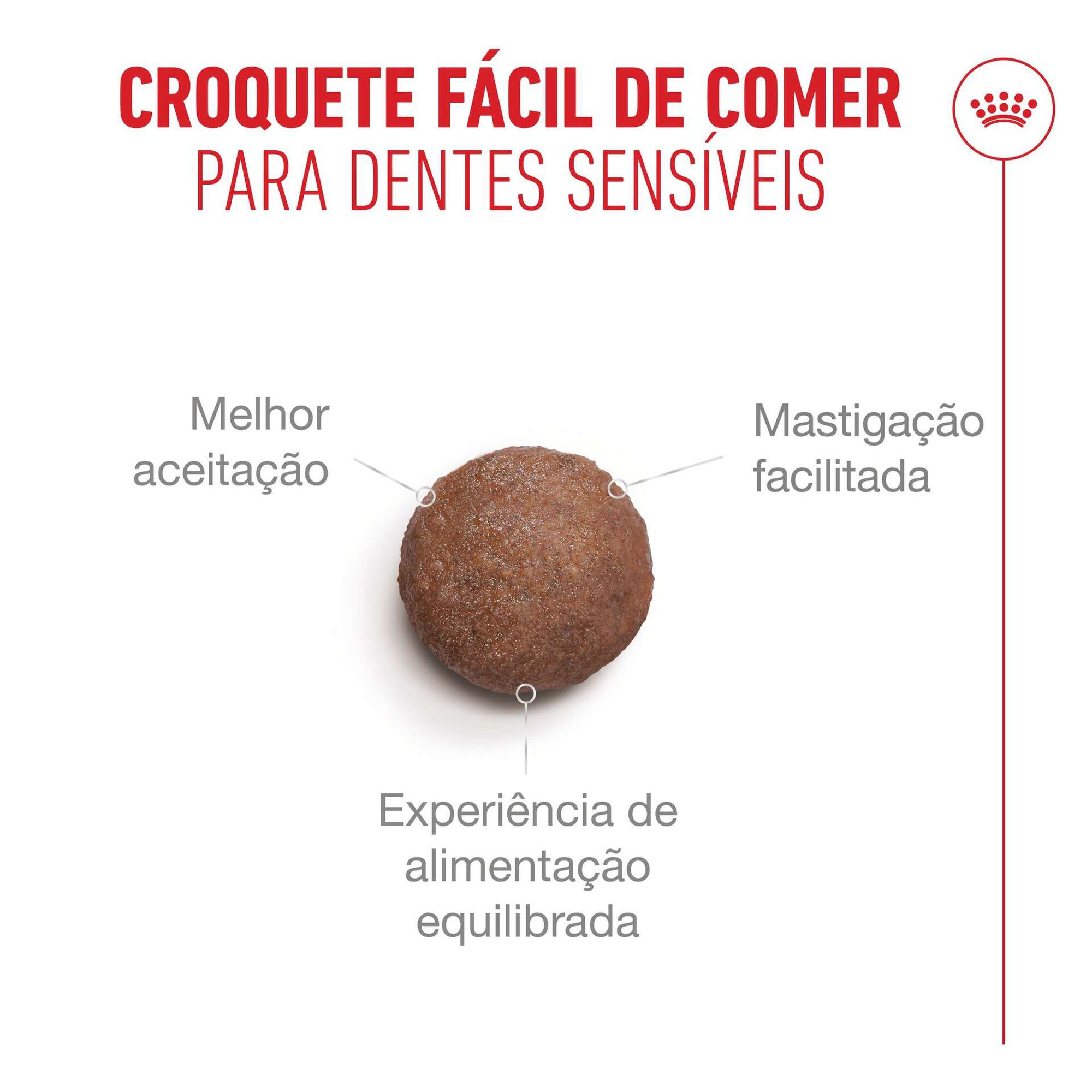Ra&ccedil;&atilde;o para Gato S&eacute;nior Ageing+15 Royal Canin
