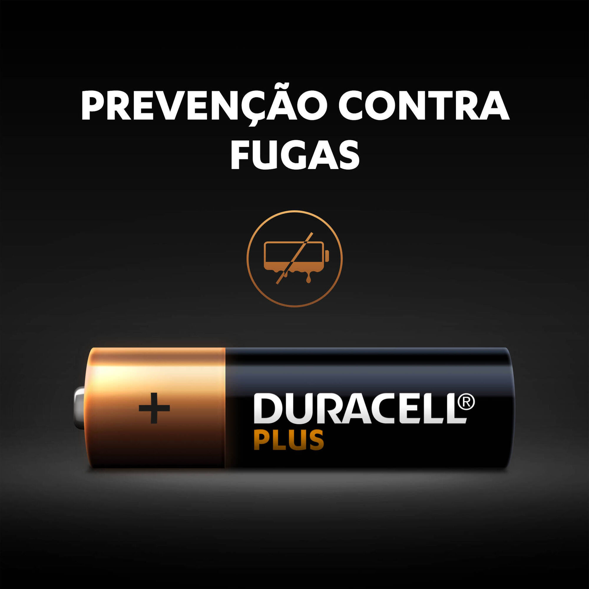 Conjunto de 18 Pilhas AA Plus