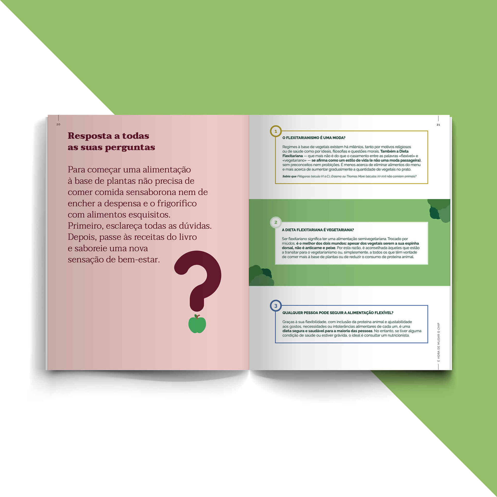 Vegetariano Flexível