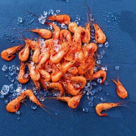 Camarão da Costa Cozido Fresco