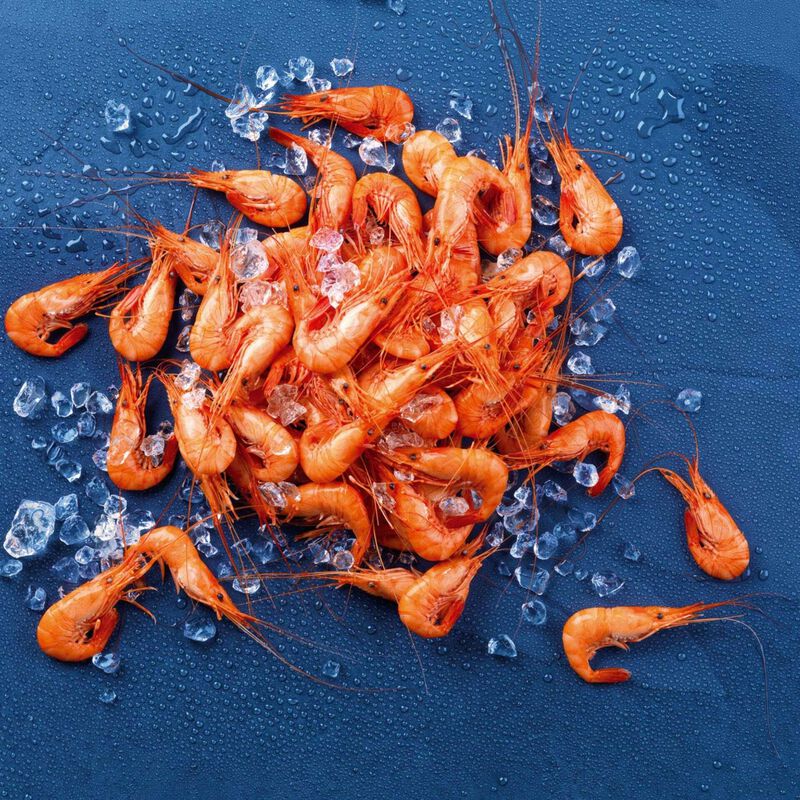 Camarão da Costa Cozido Fresco