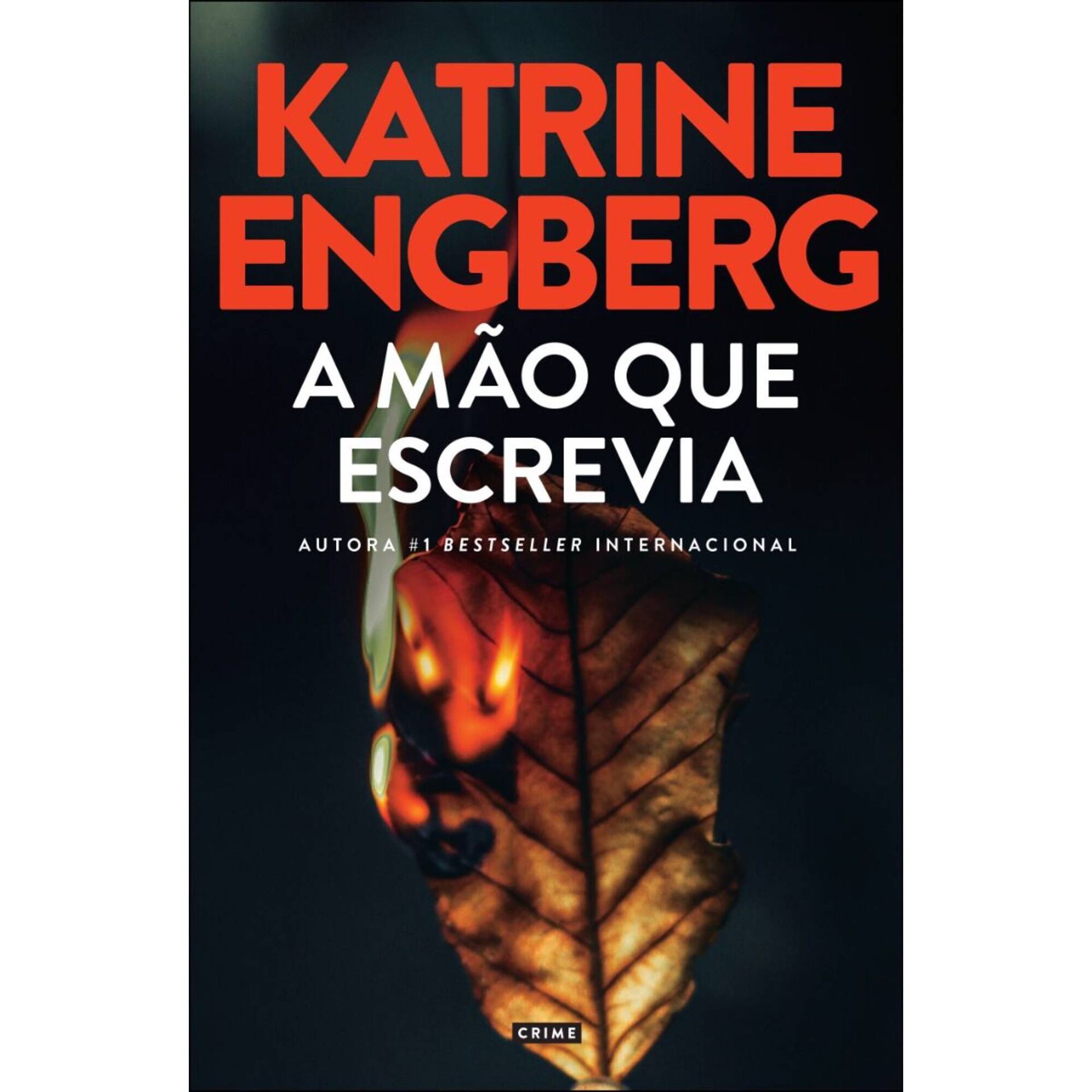 A M&atilde;o que Escrevia de Katrine Engberg