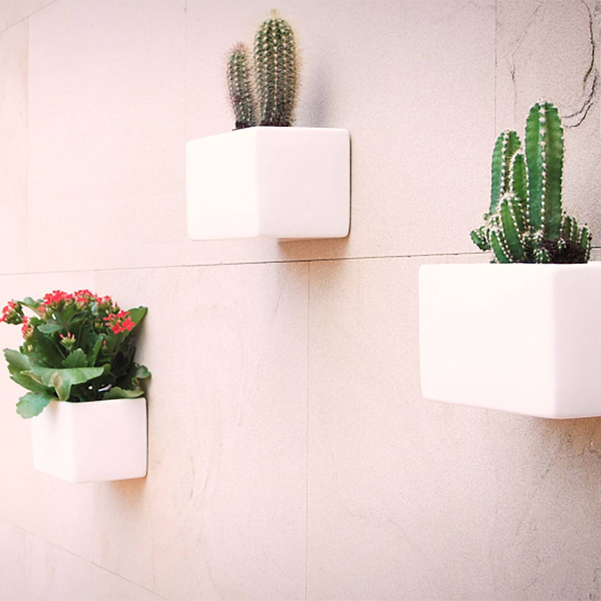 Cola e Veda Não Mais Pregos