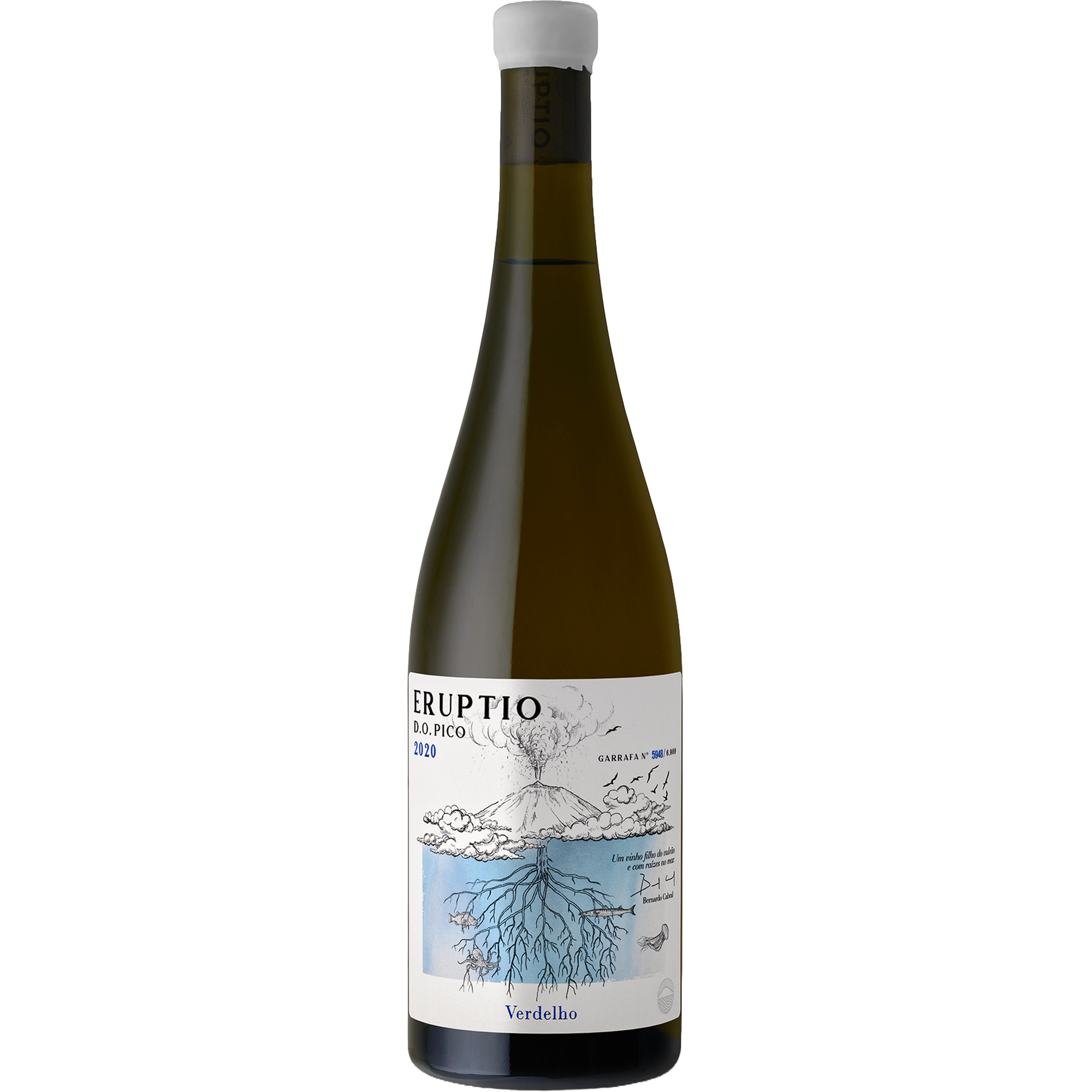 Eruptio Verdelho Pico Vinho Branco