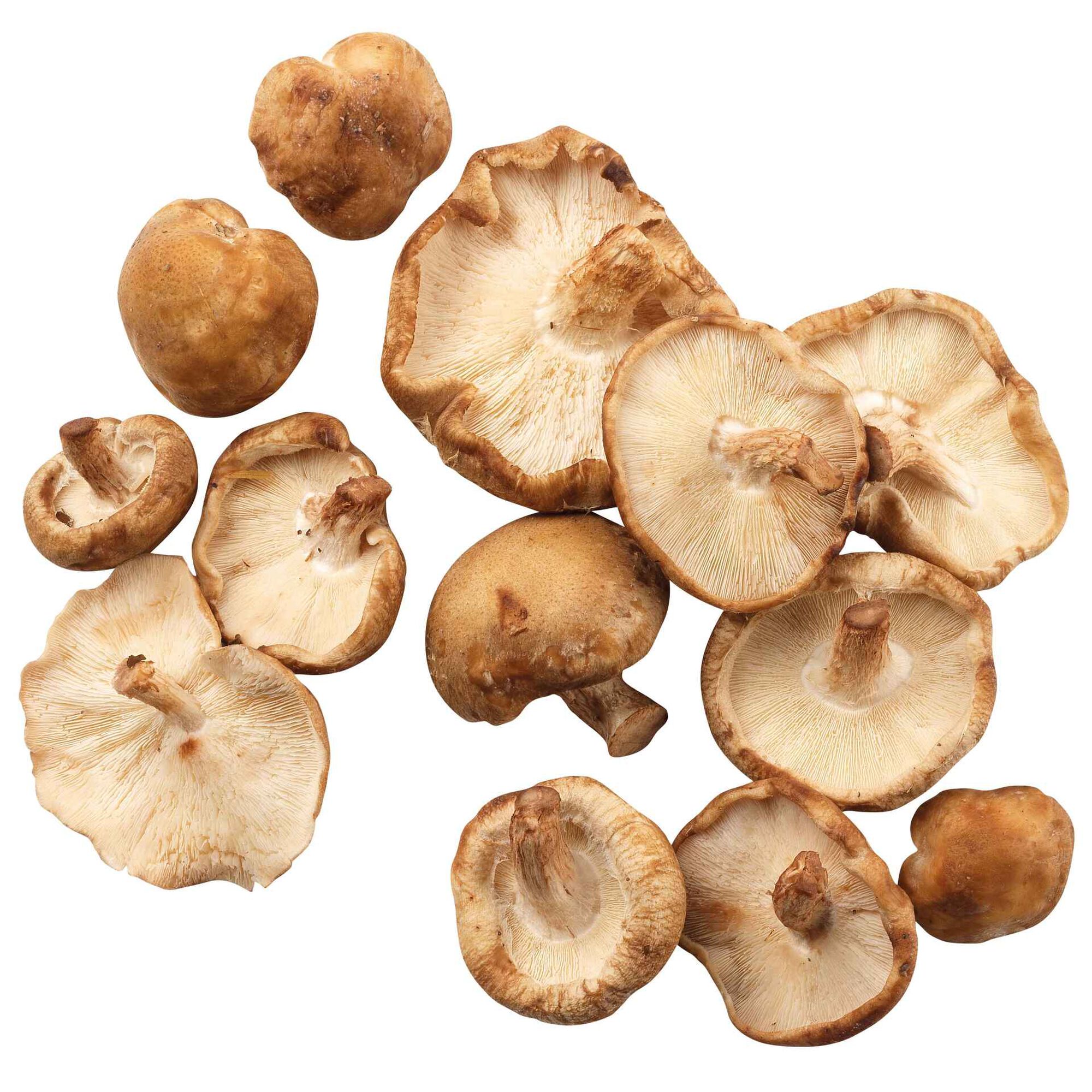 Cogumelos Shitake Bio . 1 caixa