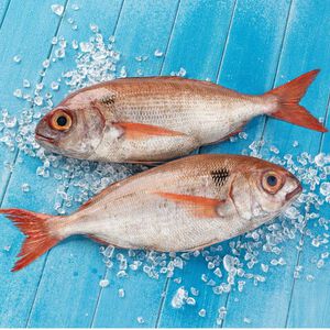 Goraz da Costa Fresco