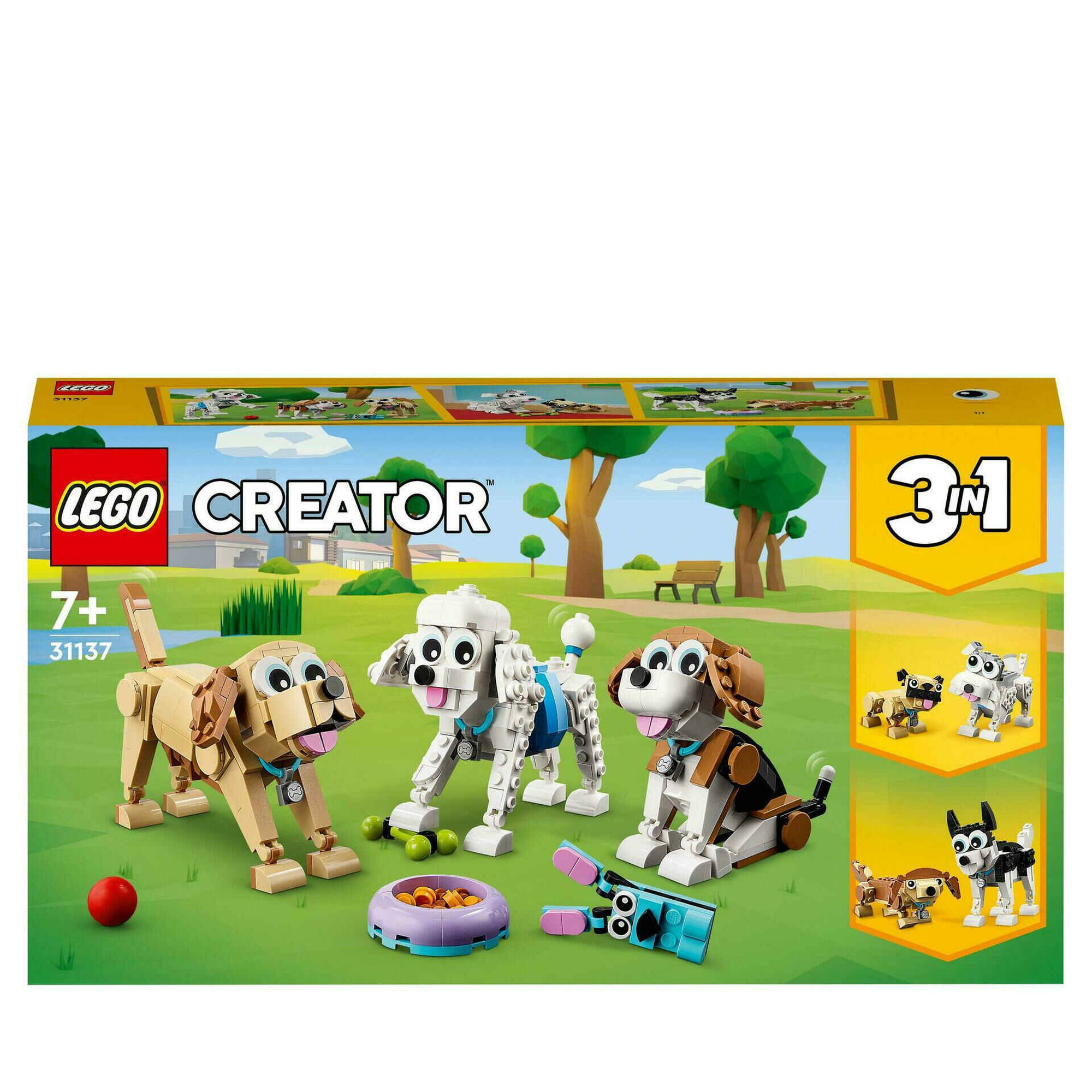 Cães Adoráveis - 31137
