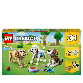 Cães Adoráveis - 31137 Cães Adoráveis - 31137