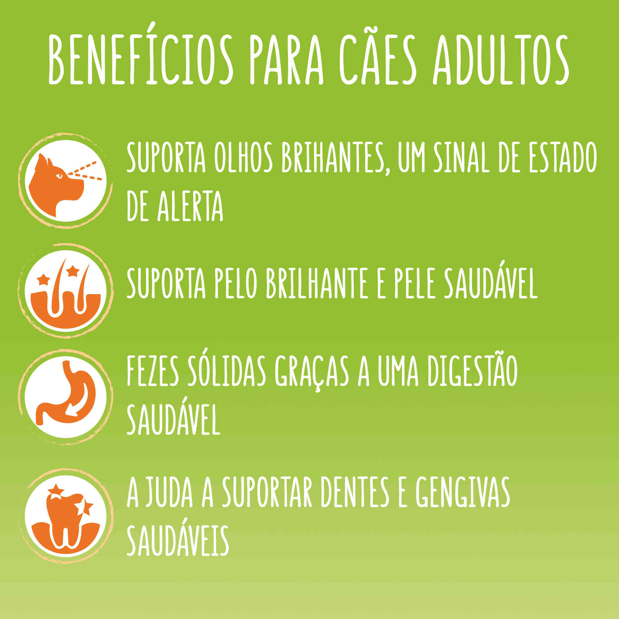 Ra&ccedil;&atilde;o para C&atilde;o Adulto Mini Menu Frango e Legumes Purina Friskies