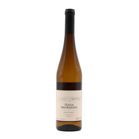 Azores Wine Company Vinha Centen&aacute;ria A&ccedil;ores Vinho Branco