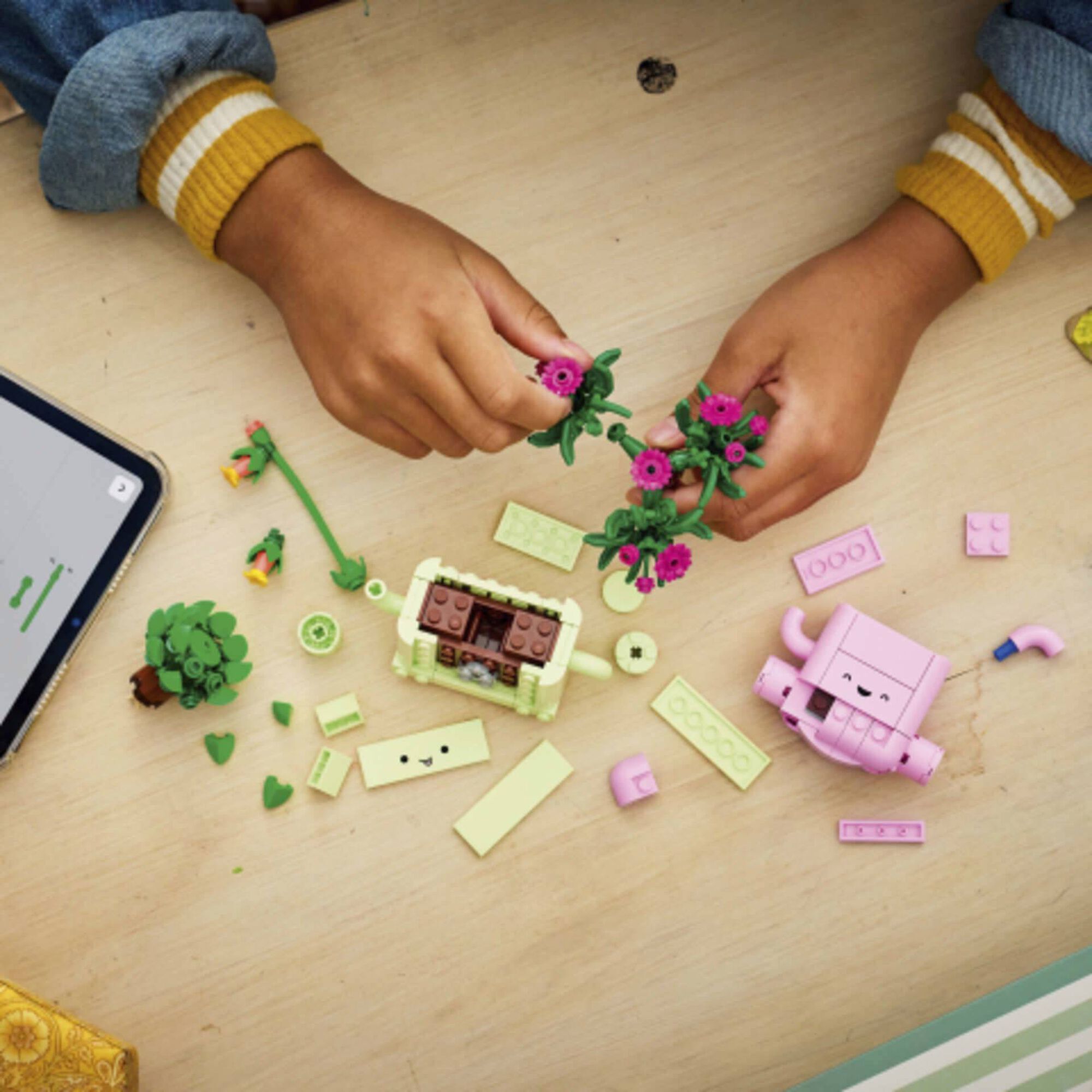 LEGO Botanicals - Plantas de Balan&ccedil;ar - 11506