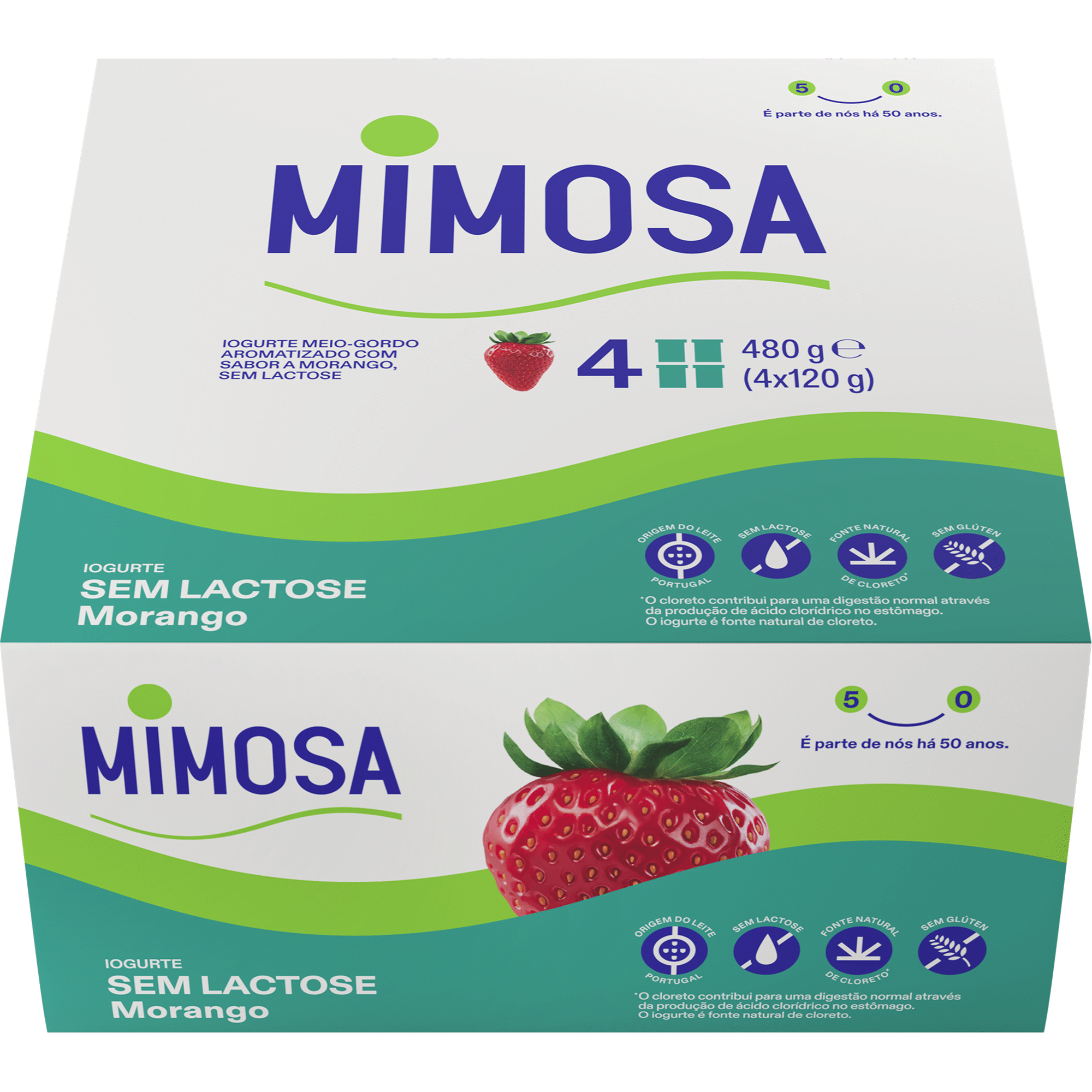 Iogurte Aroma Morango sem Lactose