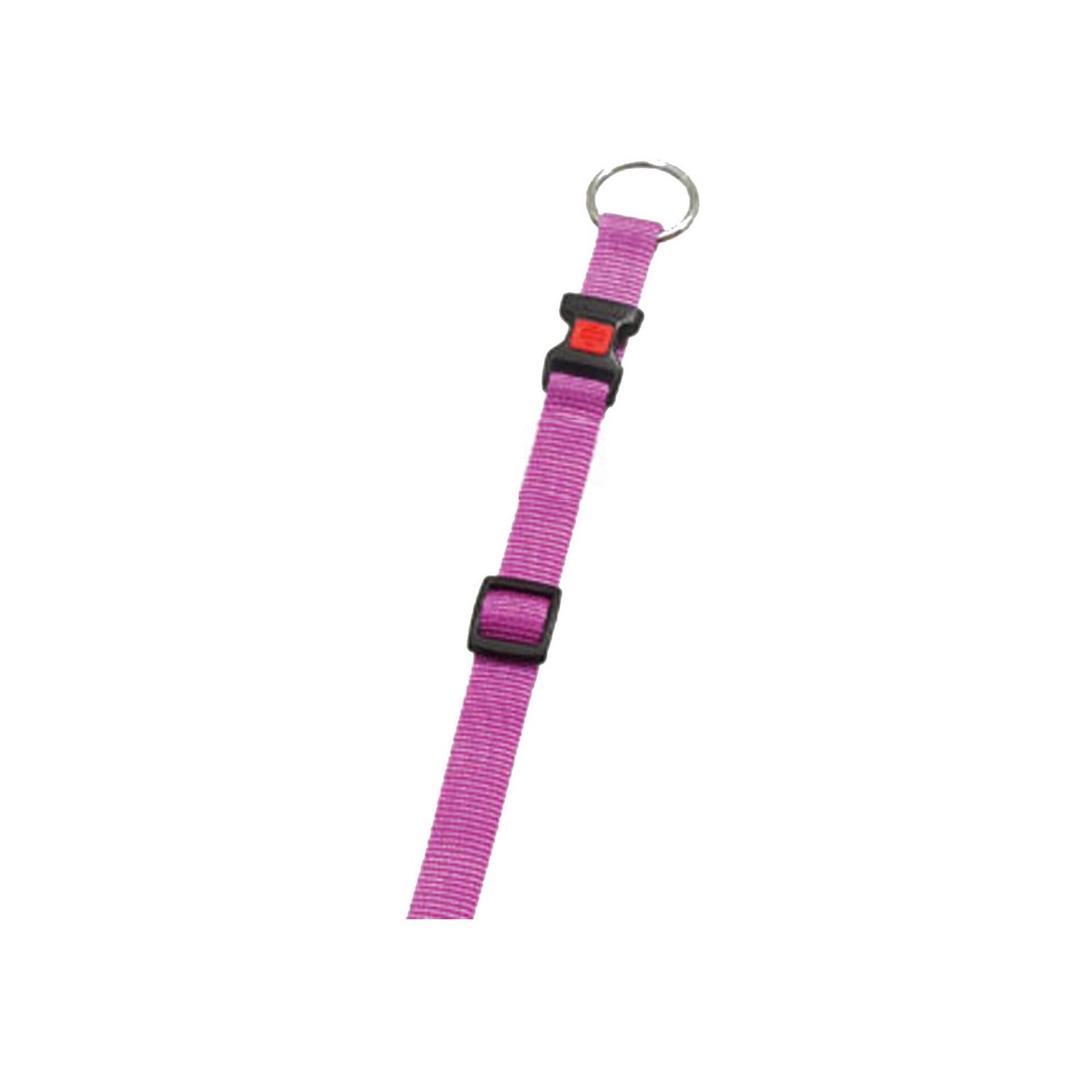Coleira com Fecho Segurança Rosa 25 mm x 45-65 cm Coleira com Fecho Segurança Rosa 25 mm x 45-65 cm