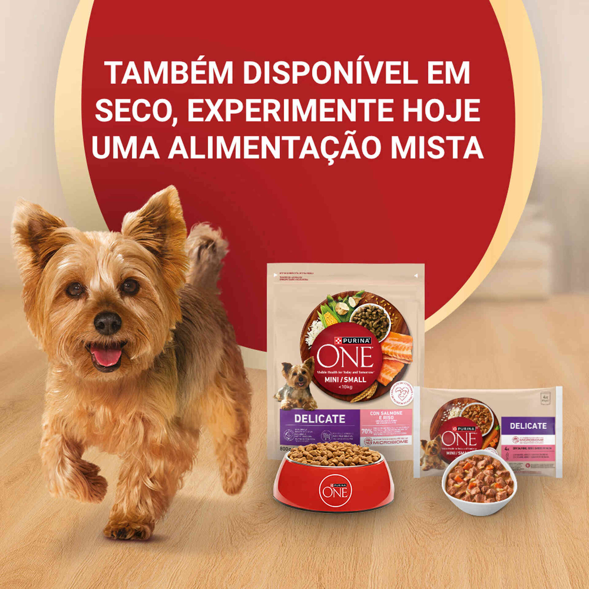 Comida H&uacute;mida para C&atilde;o Mini Delicate Salm&atilde;o Purina One Mini