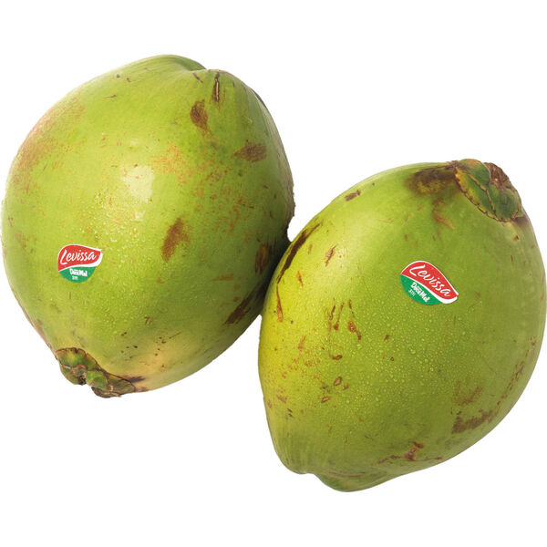 Coco Fresco Continente