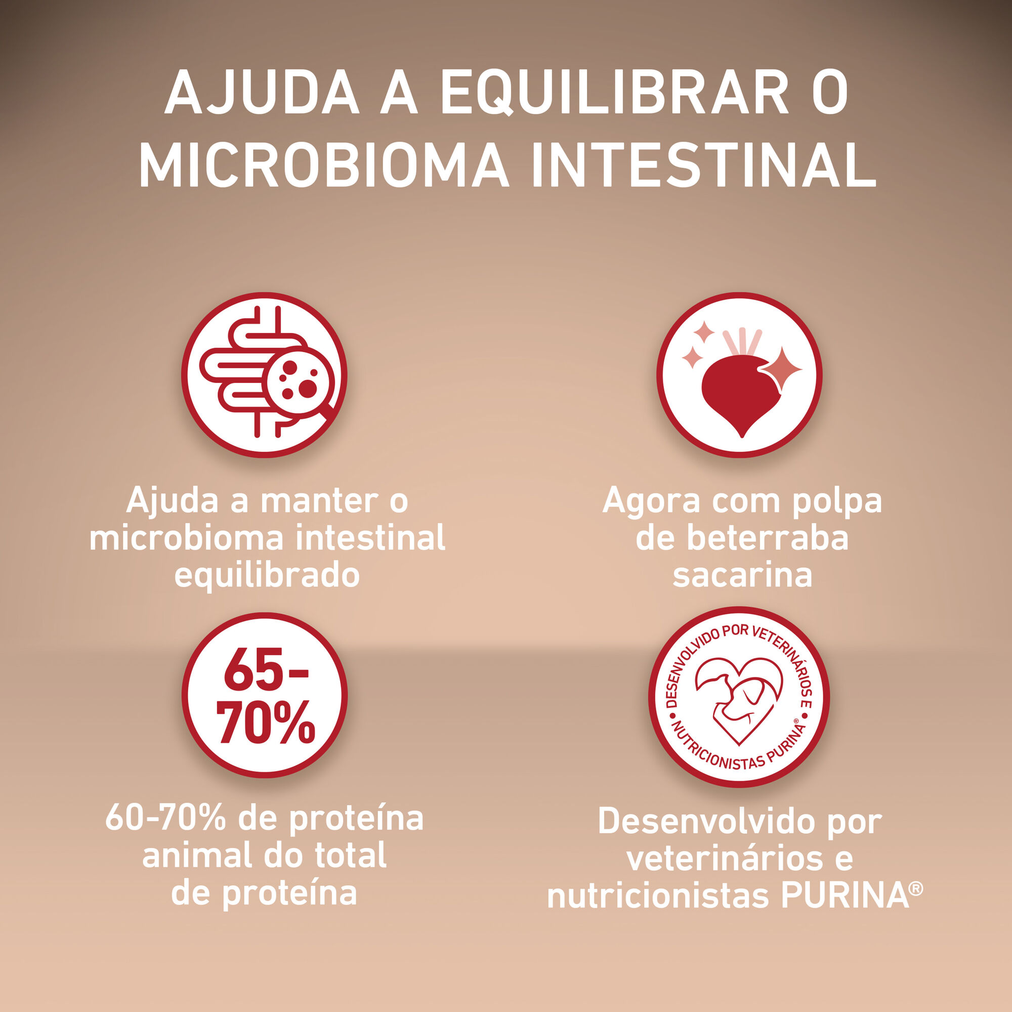 Ra&ccedil;&atilde;o para C&atilde;o J&uacute;nior Mini Frango e Arroz Purina One Mini