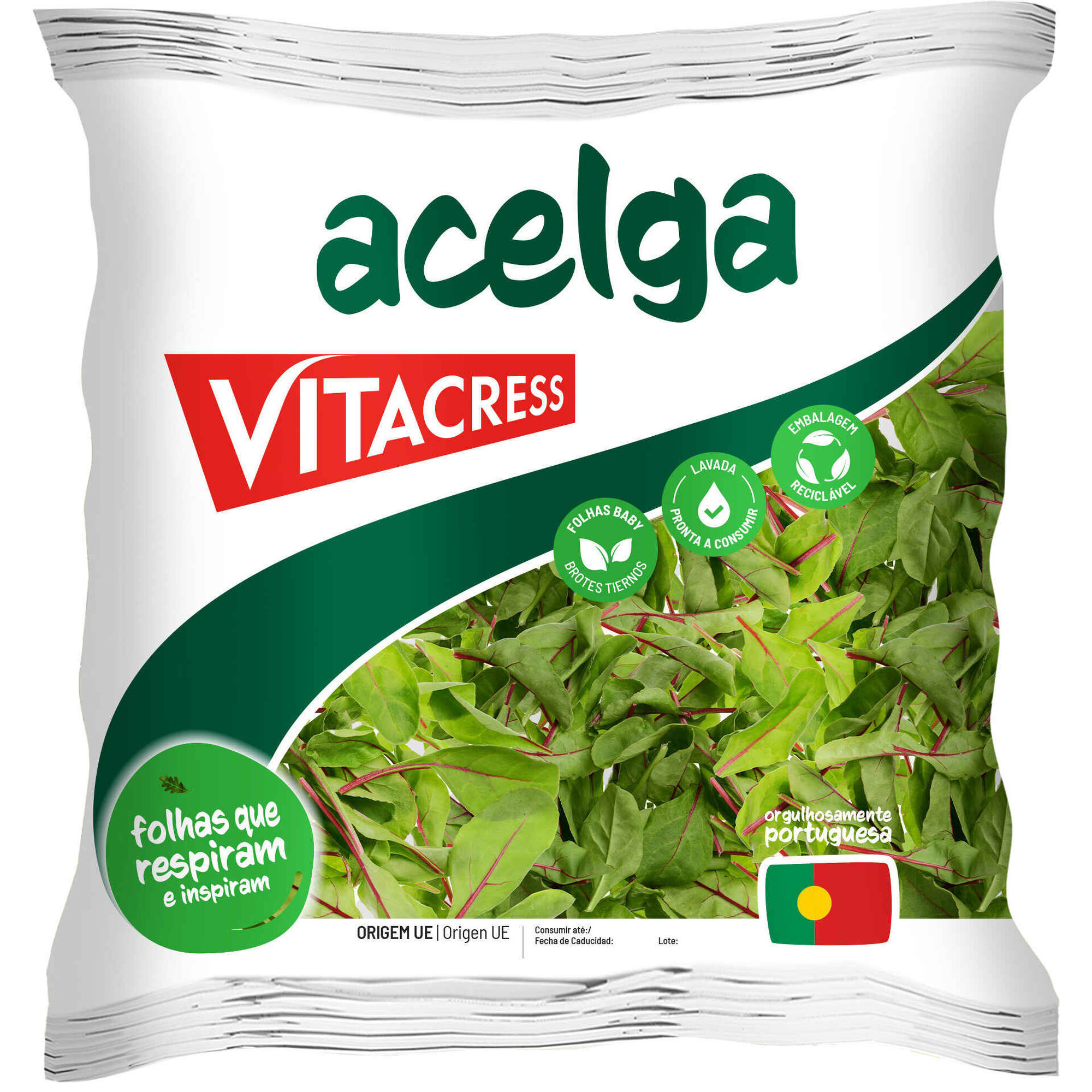 Acelga