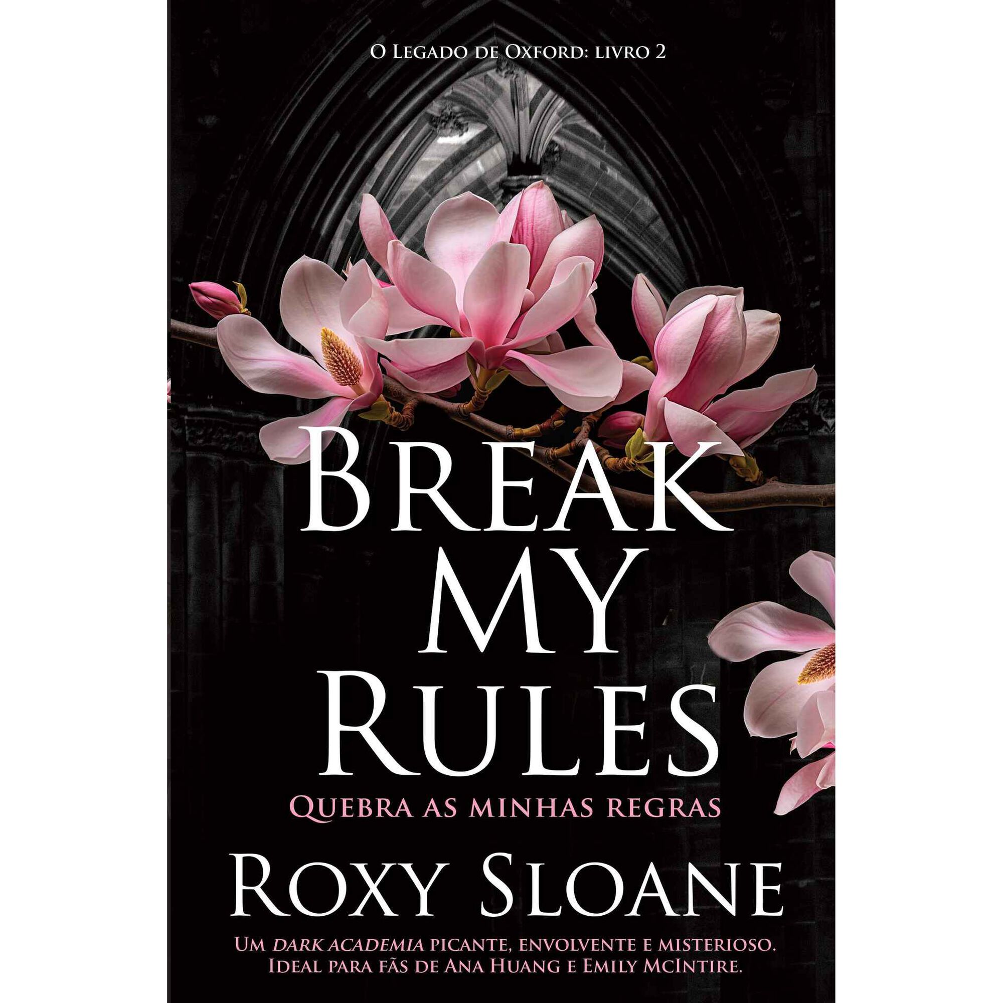 Break My Rules - Quebra as Minhas Regras de Roxy Sloane