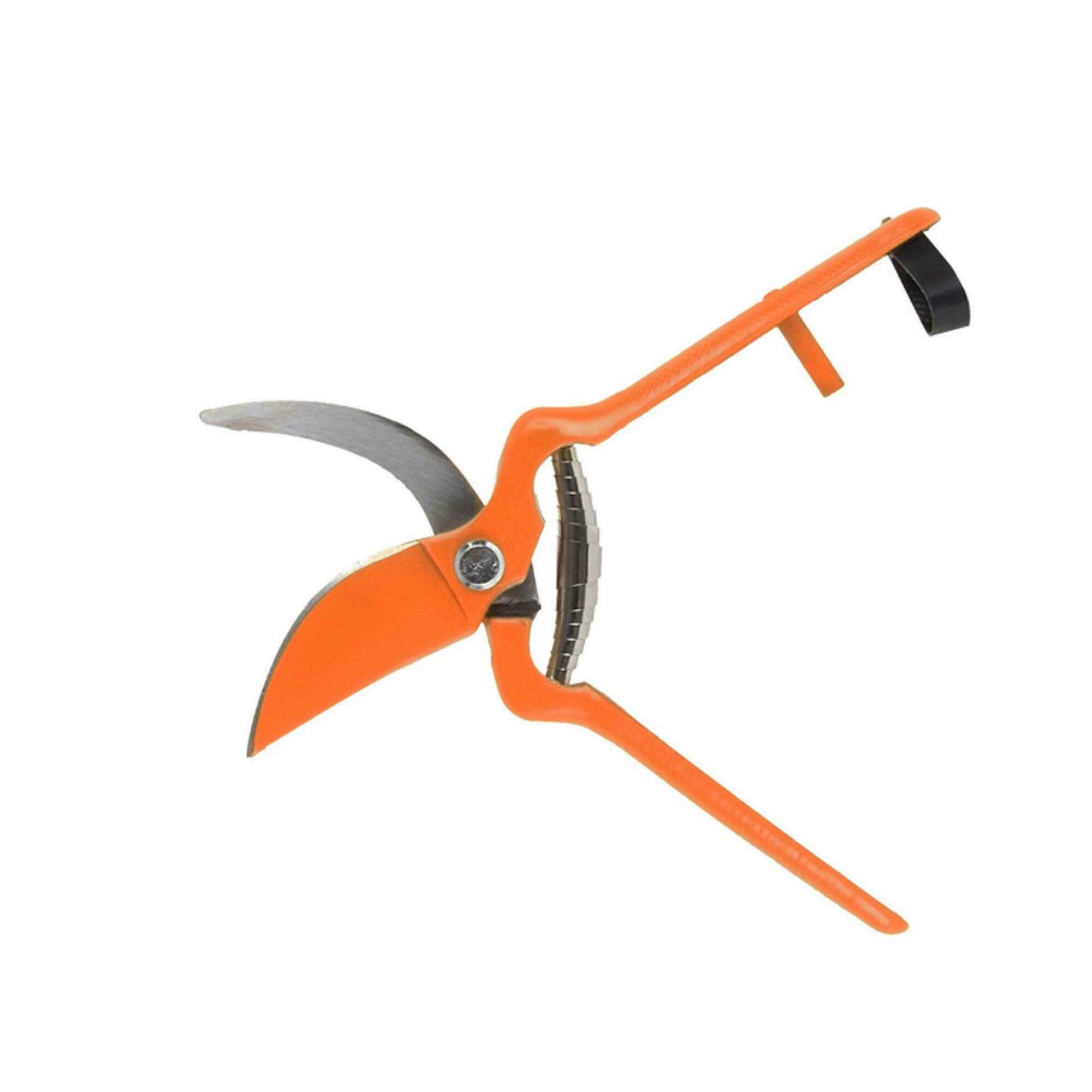 Tesoura Poda 22cm
