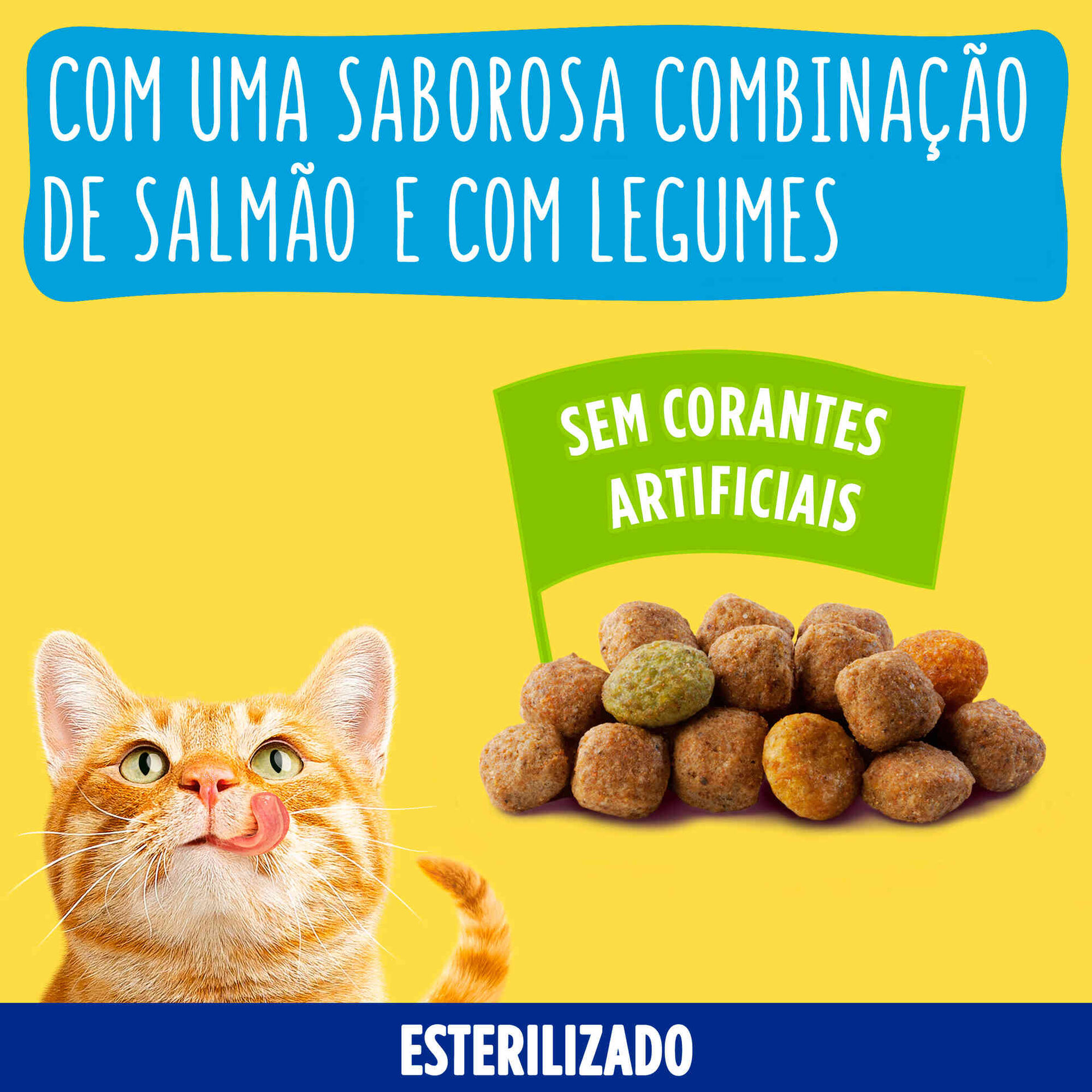 Ra&ccedil;&atilde;o para Gato Adulto Esterilizado Salm&atilde;o Purina Friskies