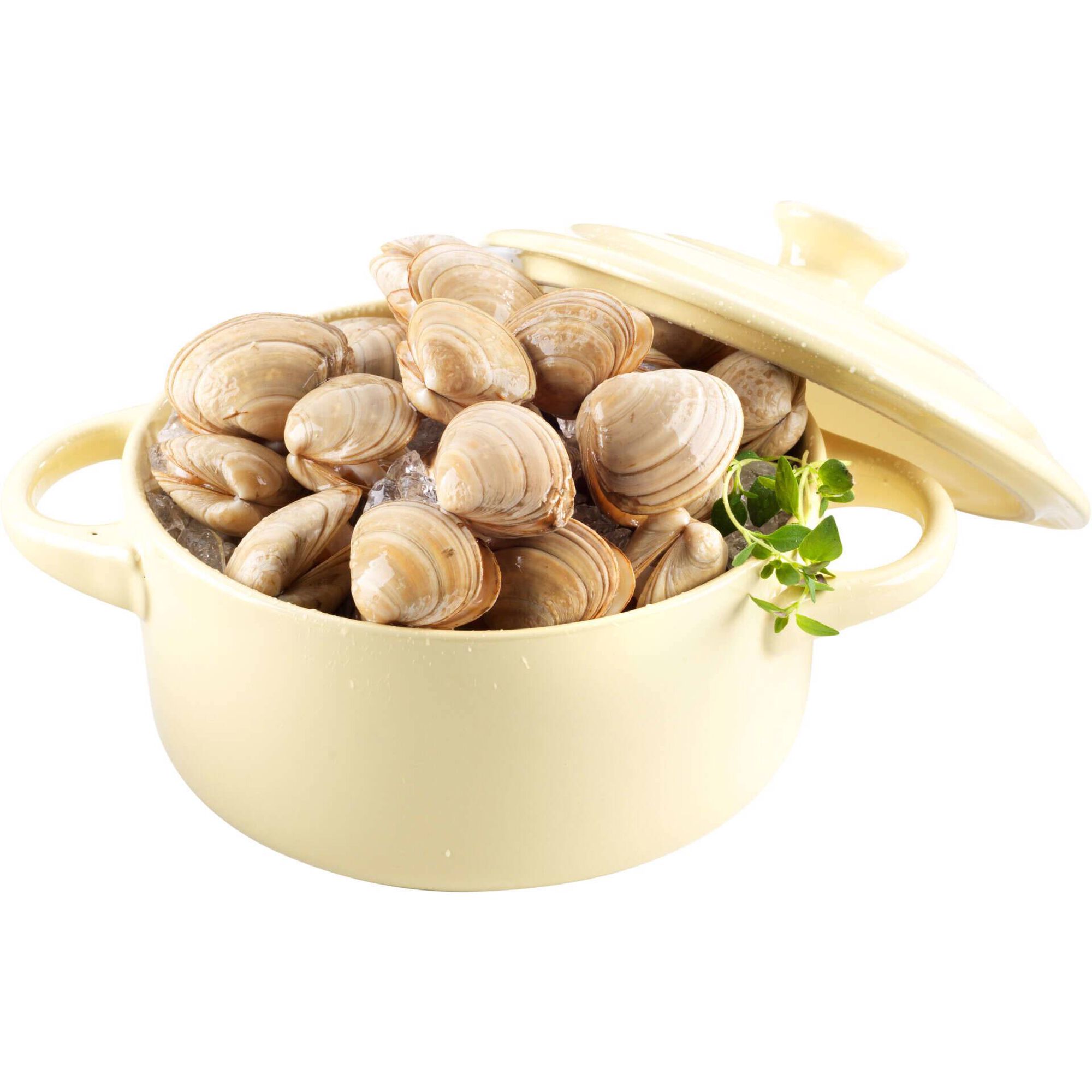 Amêijoa Branca Grande Fresca