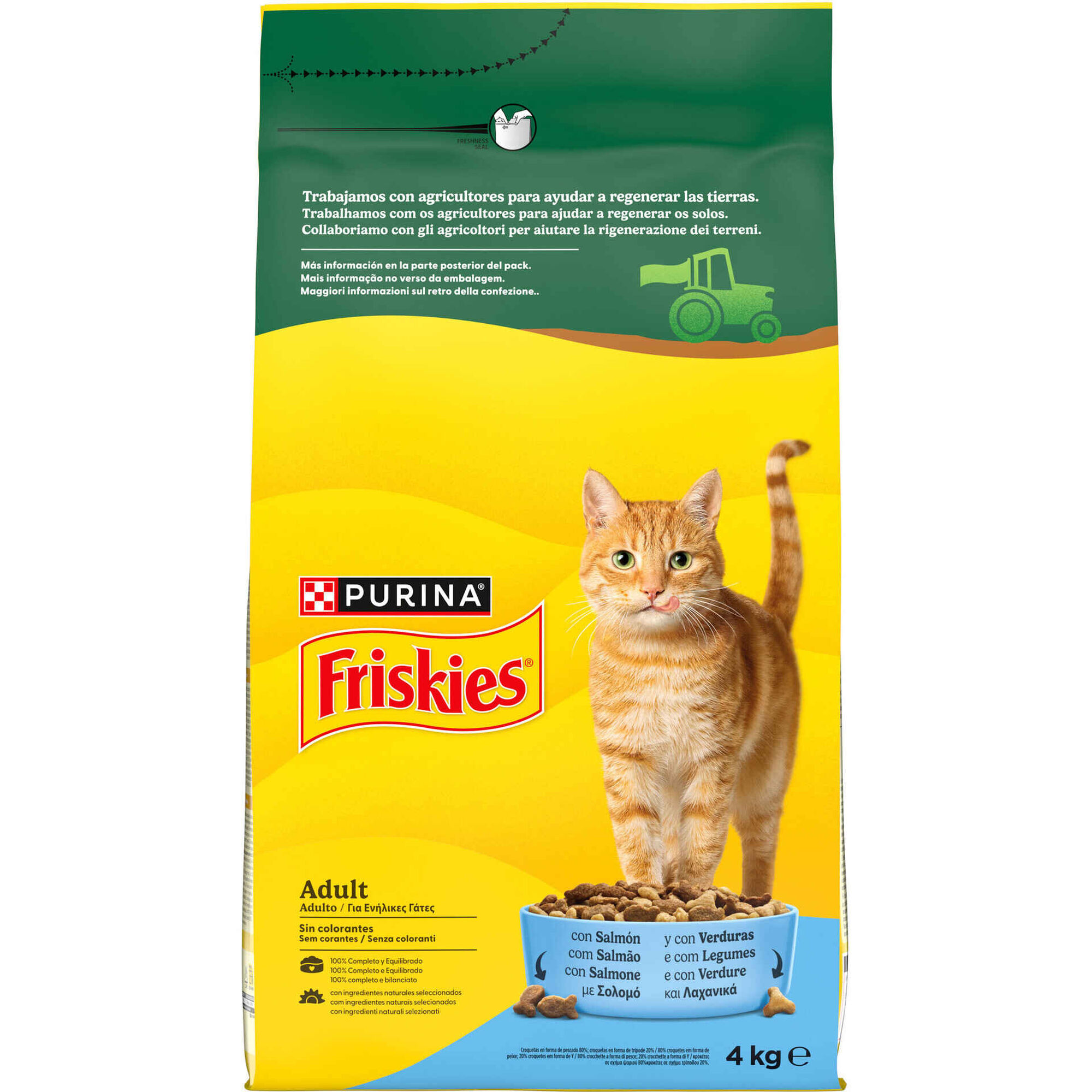 Ra&ccedil;&atilde;o para Gato Adulto Salm&atilde;o Purina Friskies