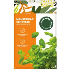 Sementes Arom&aacute;ticas Manjerico Grande Verde