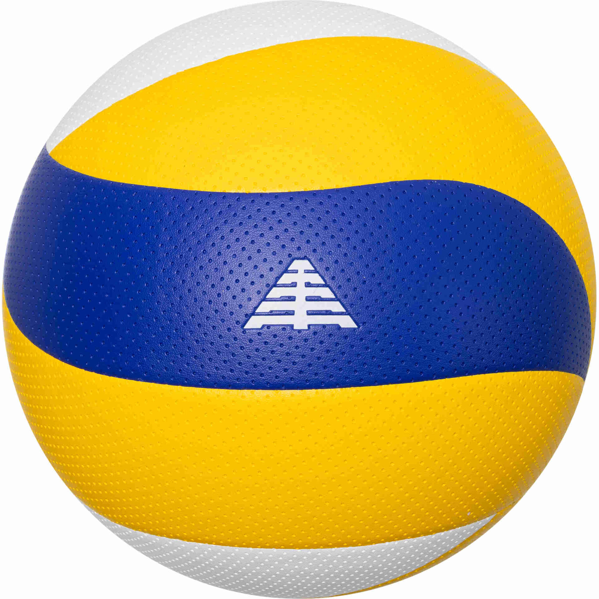 Bola de Voleibol