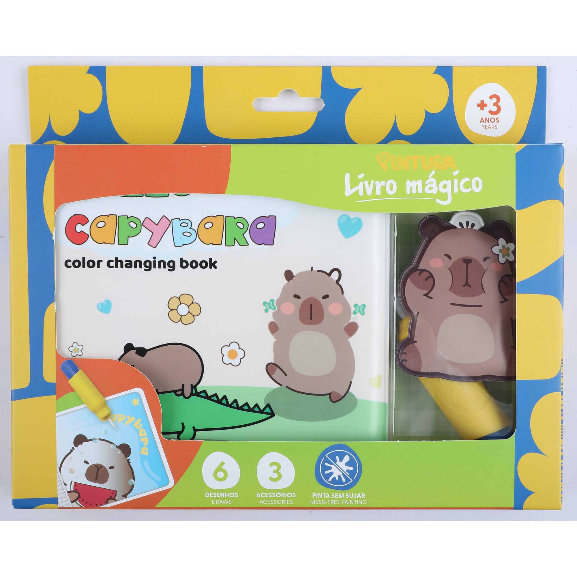 Kit de  Livro M&aacute;gico (v&aacute;rios modelos) Pintura