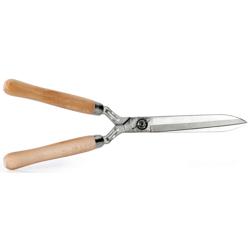 Tesoura Corta-Sebes 250mm Delgarden