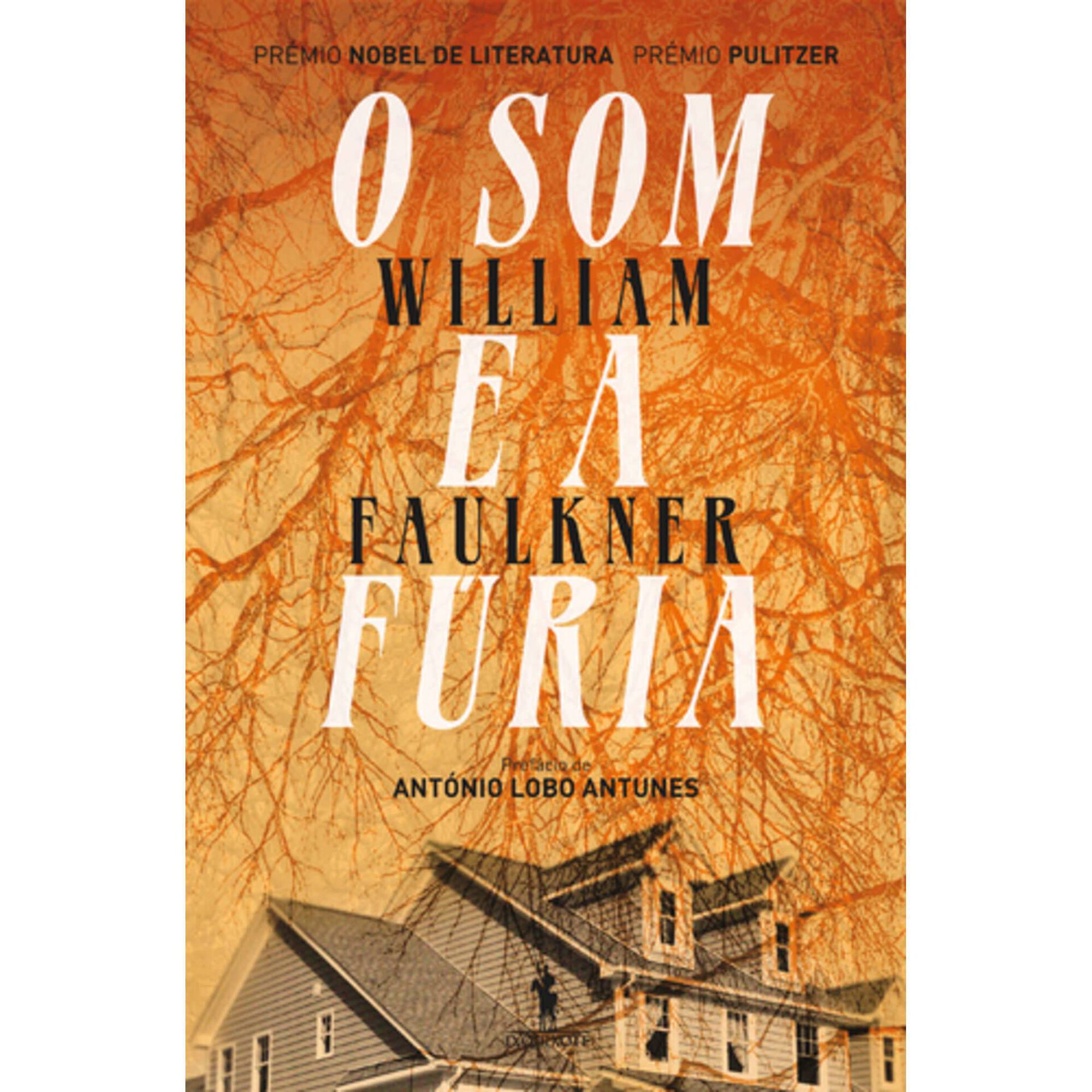 O Som e a F&uacute;ria de William Faulkner
