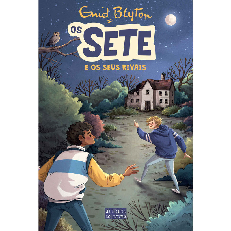 Os Sete Nº 4 - Os Sete e os Seus Rivais de Enid Blyton