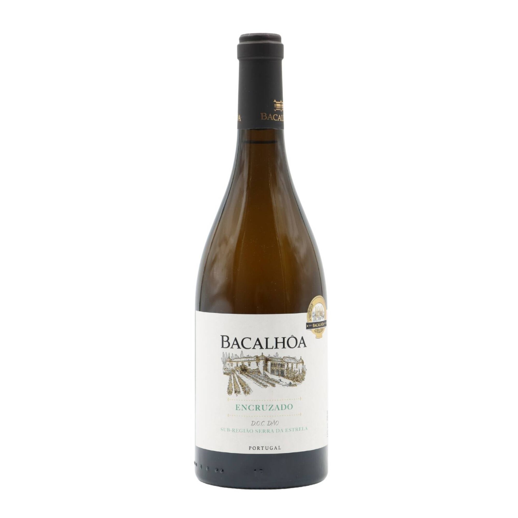 Bacalh&ocirc;a Encruzado D&atilde;o Vinho Branco