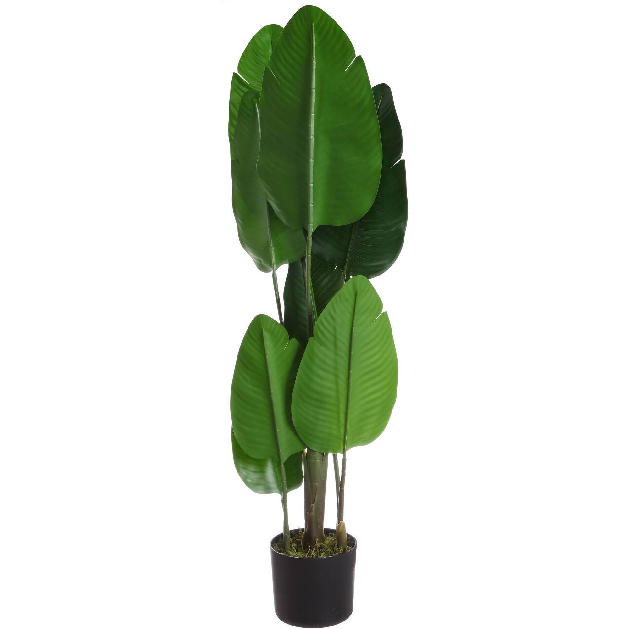 Planta Artificial Folhas Verdes Largas 100cm Kasa