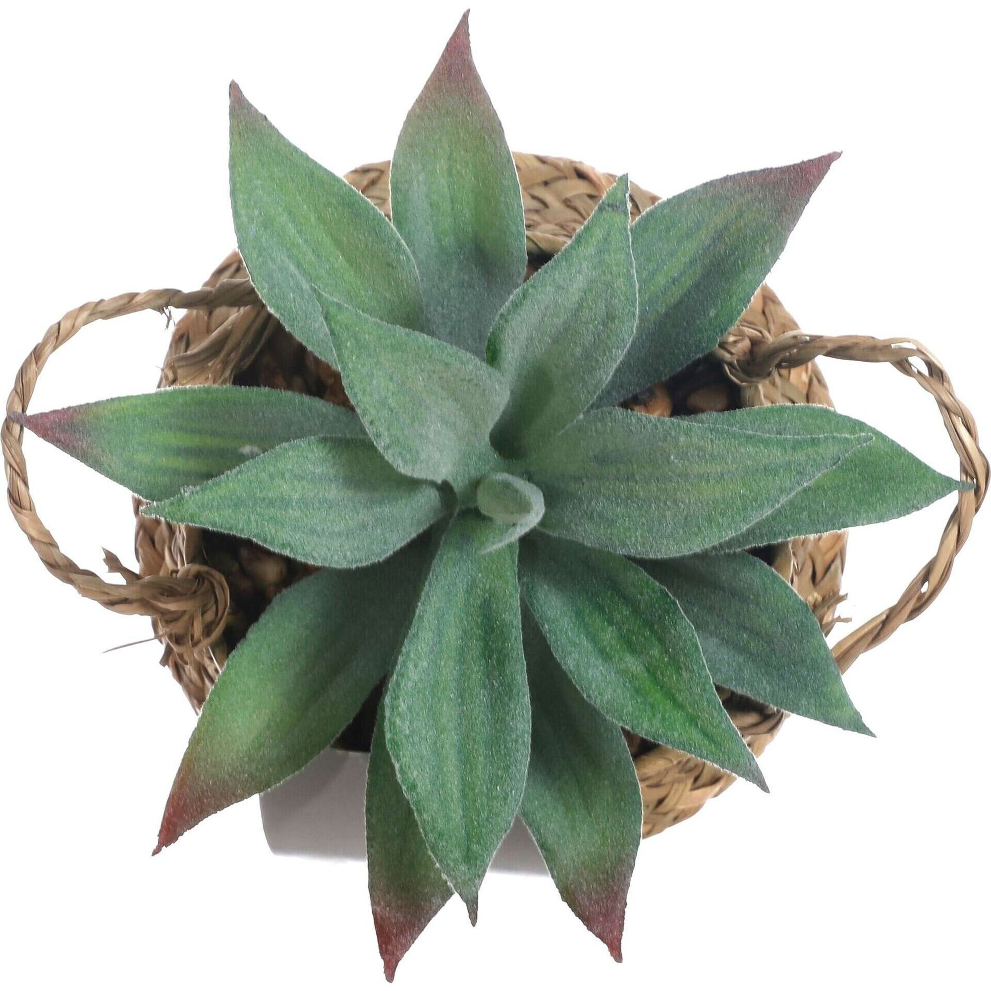 Planta Artificial Suculenta com Cesto com Asas
