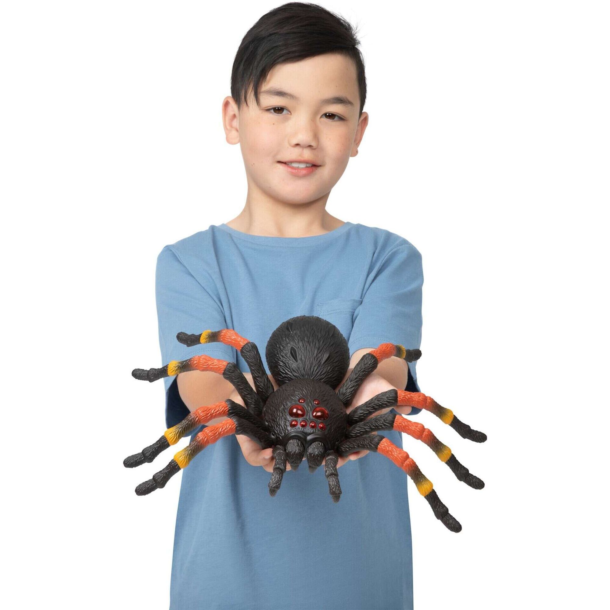 Conjunto de 3 Robôs Répteis