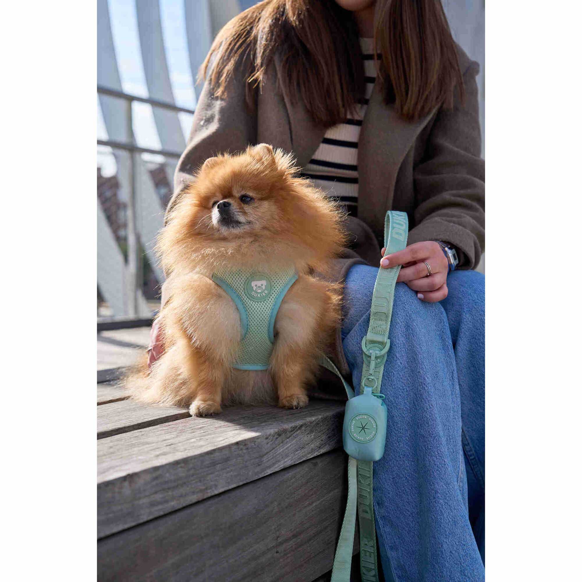 Peitoral para C&atilde;o Essentials Soft Green XXS Dukier